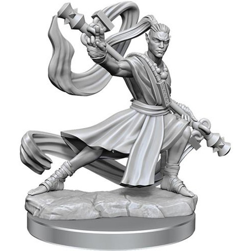 WZK75027 Dungeons And Dragons Frameworks: Elf Monk Male published by WizKids Games